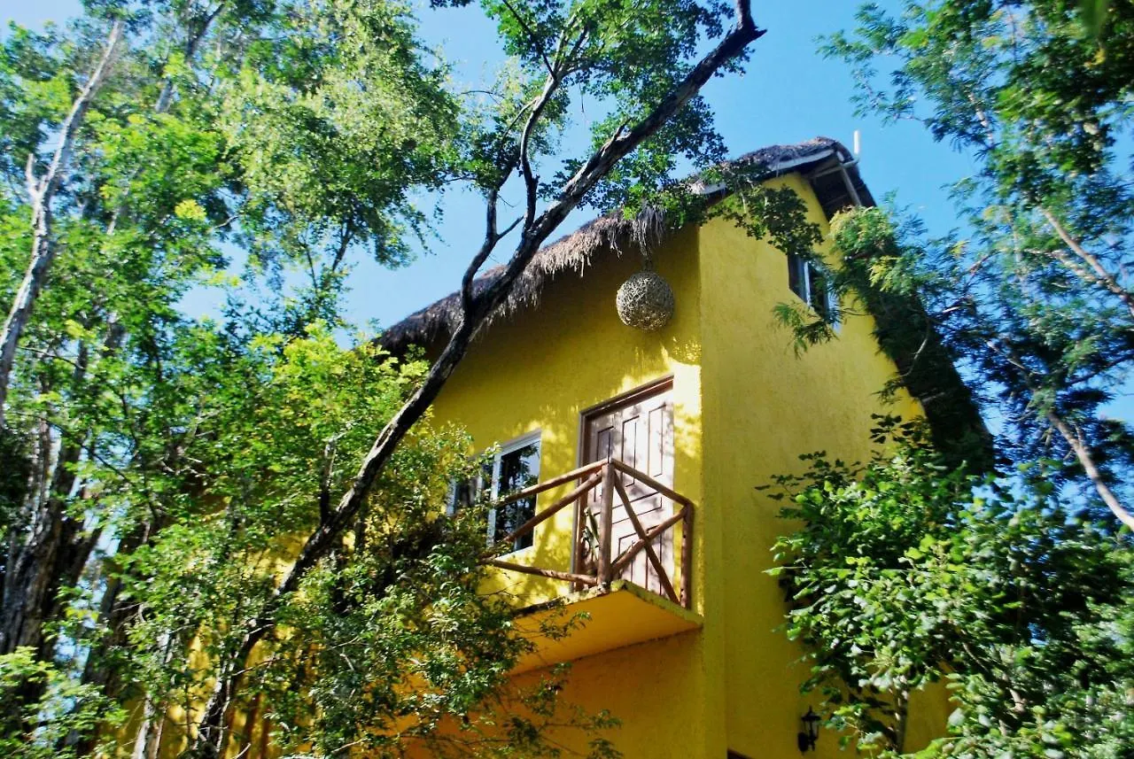 The Yellow House Villa Francisco Uh May